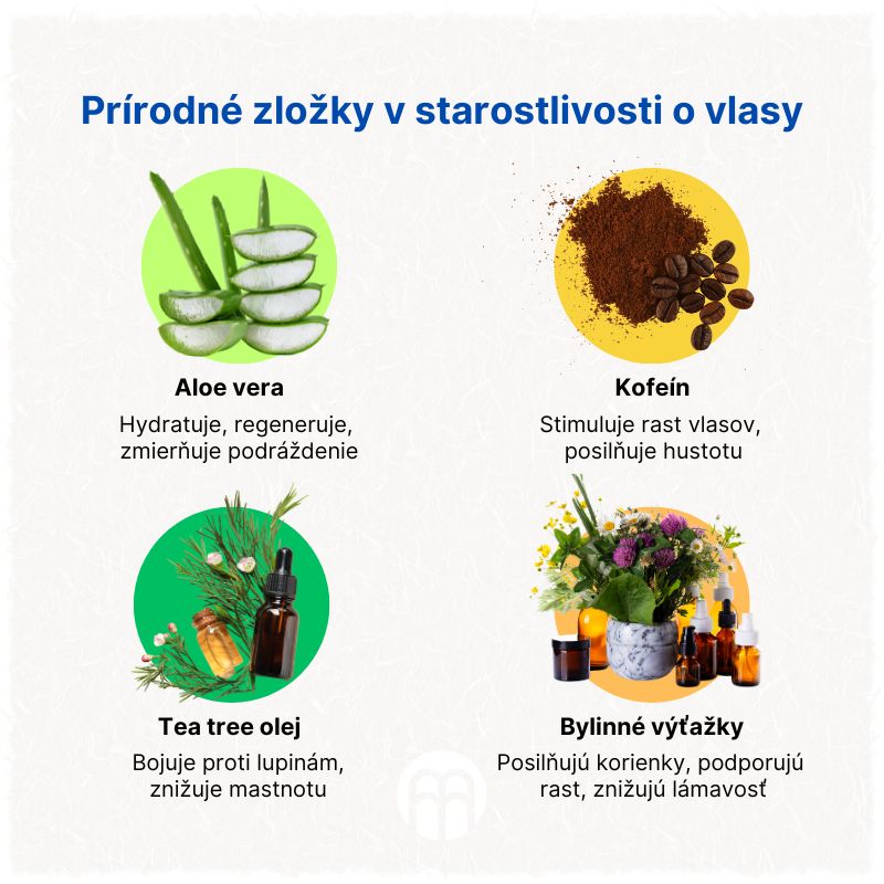 (Slovenčina) Přírodní složky v péči o vlasy